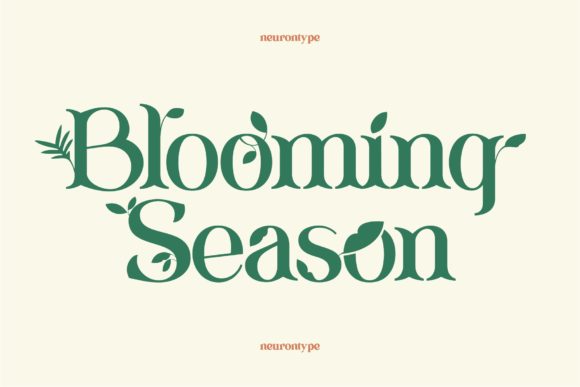 Blooming Season: A Delightful Display Font