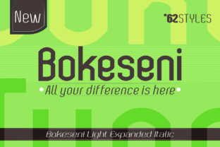 Bokeseni Light Expanded Italic Font