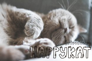 Happykat: A Bold, Playful Display Font
