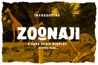 Zoonaji: A Fun Display Font